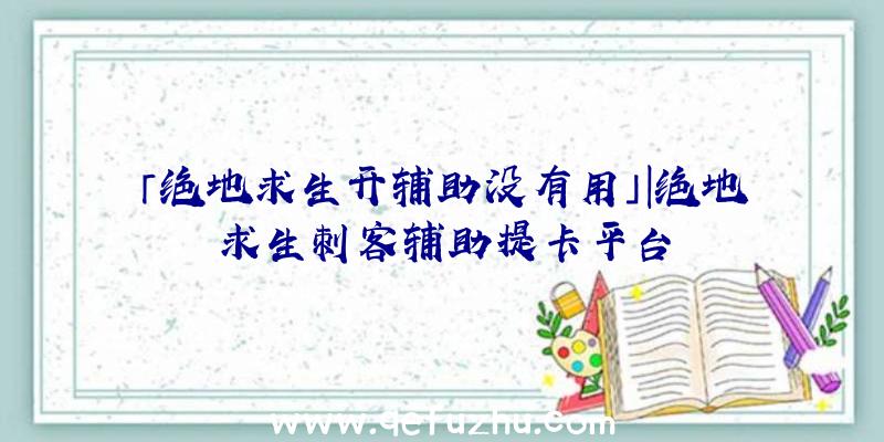 「绝地求生开辅助没有用」|绝地求生刺客辅助提卡平台